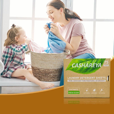 Βαθιά απολύμανση Πλυντήριο Πλυντηρίου Πλυντήριο Πλυντηρίων Πλυντηρίων Πλυντηρίων Πλυντηρίων